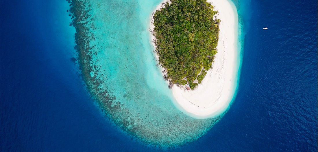 Island-Reef